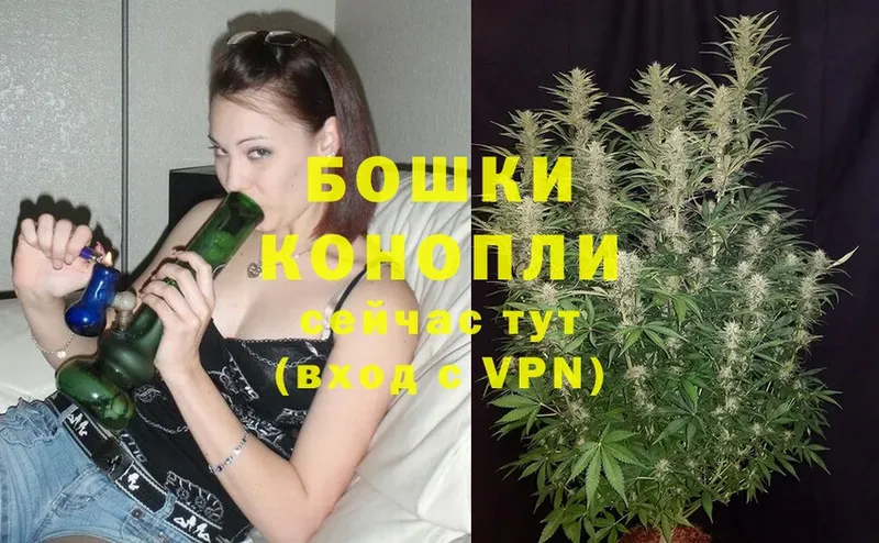 Шишки марихуана Ganja  Дубна 